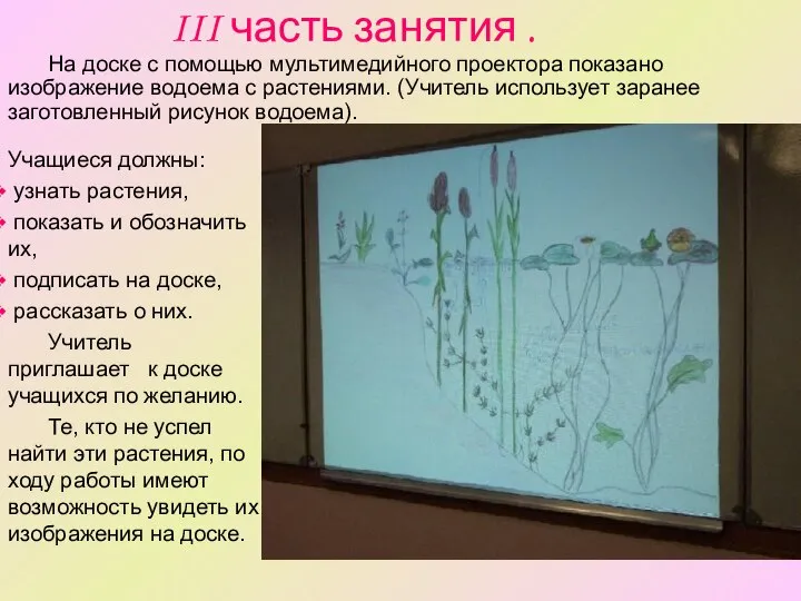 III часть занятия . Учащиеся должны: узнать растения, показать и обозначить