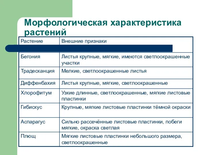 Морфологическая характеристика растений