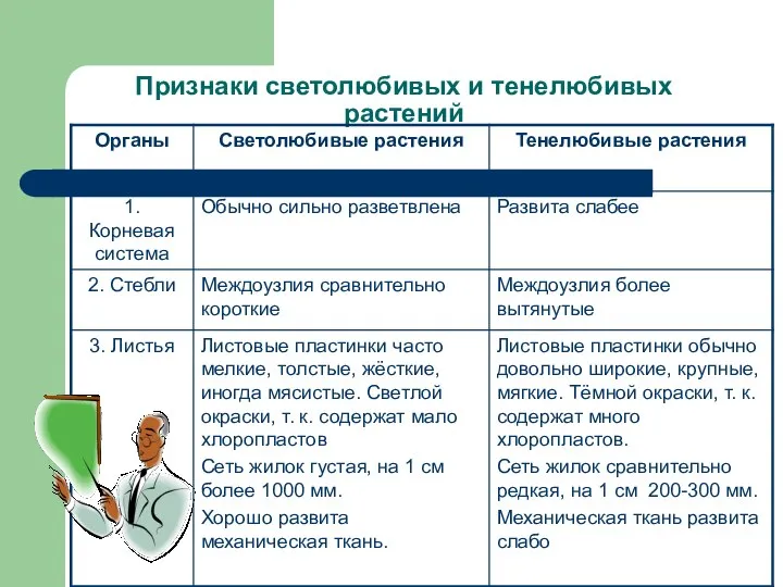 Признаки светолюбивых и тенелюбивых растений