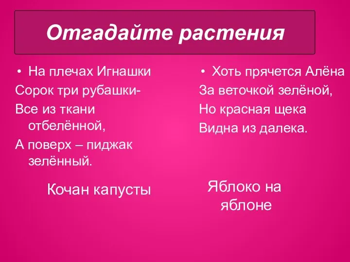 На плечах Игнашки Сорок три рубашки- Все из ткани отбелённой, А