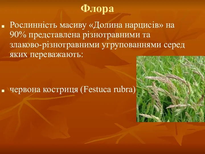 Флора Рослинність масиву «Долина нарцисів» на 90% представлена різнотравними та злаково-різнотравними