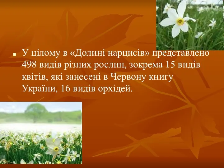 У цілому в «Долині нарцисів» представлено 498 видів різних рослин, зокрема