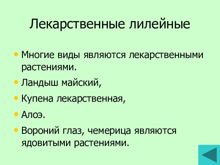 Лекарственные лилейные Многие виды являются лекарственными растениями. Ландыш майский, Купена лекарственная,