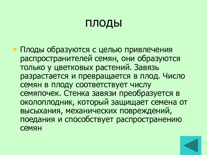 плоды Плоды образуются с целью привлечения распространителей семян, они образуются только