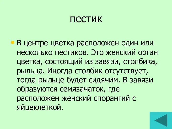 пестик В центре цветка расположен один или несколько пестиков. Это женский