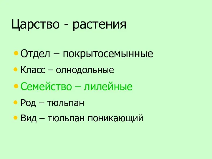 Царство - растения Отдел – покрытосемынные Класс – олнодольные Семейство –