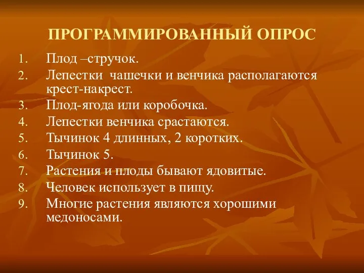 ПРОГРАММИРОВАННЫЙ ОПРОС Плод –стручок. Лепестки чашечки и венчика располагаются крест-накрест. Плод-ягода