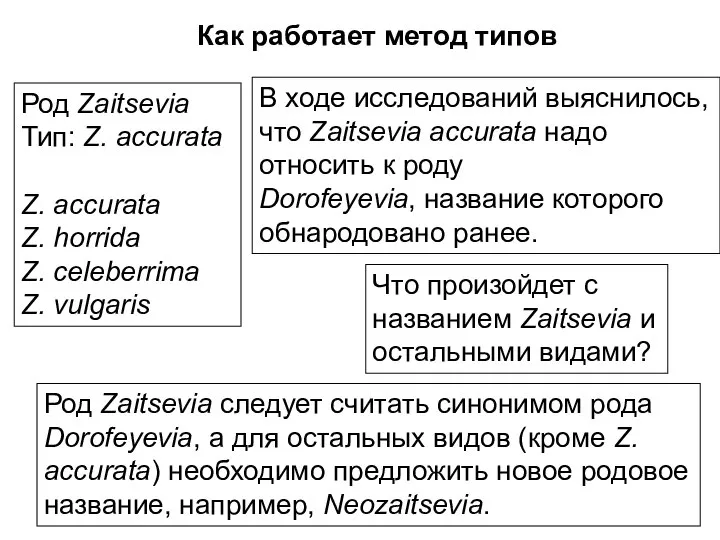 Род Zaitsevia Тип: Z. accurata Z. accurata Z. horrida Z. celeberrima