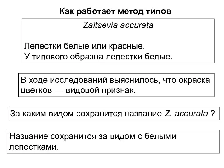 Как работает метод типов Zaitsevia accurata Лепестки белые или красные. У