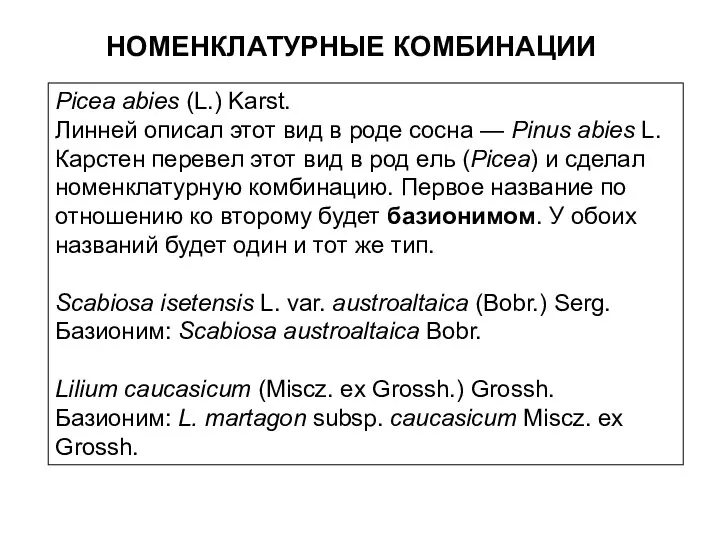 НОМЕНКЛАТУРНЫЕ КОМБИНАЦИИ Picea abies (L.) Karst. Линней описал этот вид в