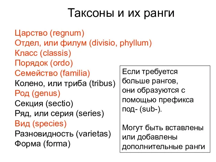 Царство (regnum) Отдел, или филум (divisio, phyllum) Класс (classis) Порядок (ordo)