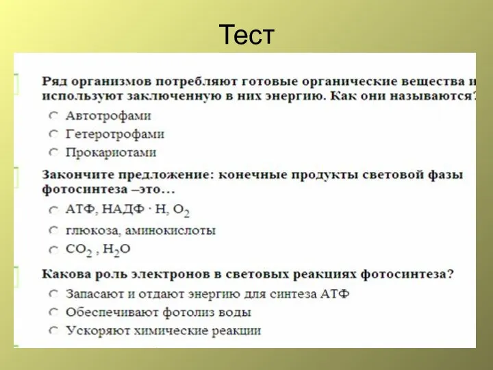 Тест