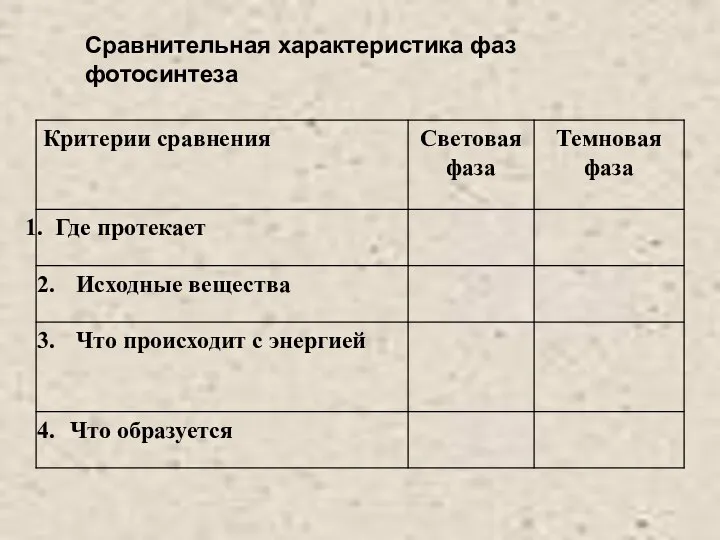 Сравнительная характеристика фаз фотосинтеза