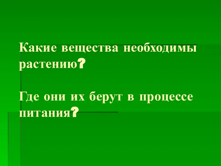 Какие вещества необходимы растению? Где они их берут в процессе питания?