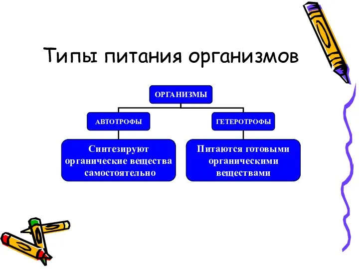 Типы питания организмов