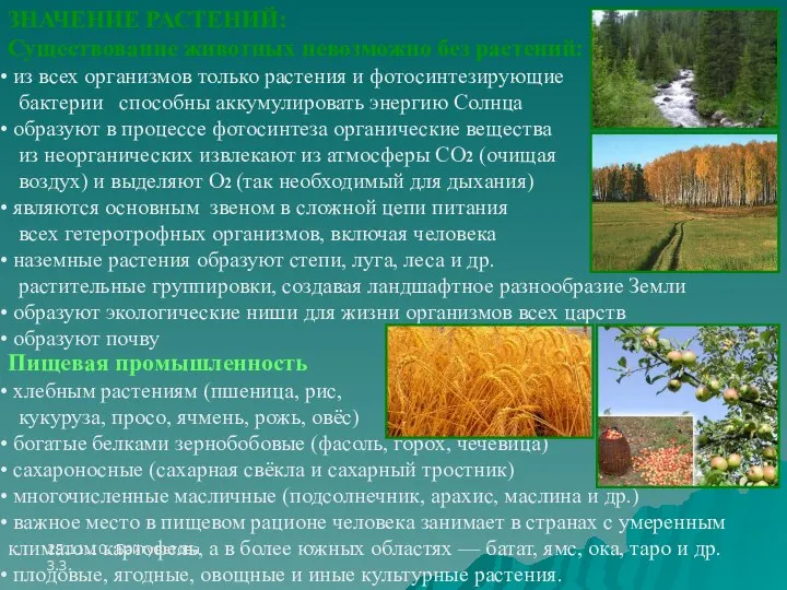 25.11.10. Байгуватова З.З. ЗНАЧЕНИЕ РАСТЕНИЙ: Существование животных невозможно без растений: из