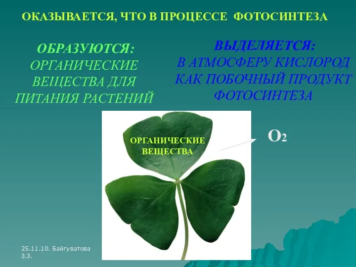 25.11.10. Байгуватова З.З. ОКАЗЫВАЕТСЯ, ЧТО В ПРОЦЕССЕ ФОТОСИНТЕЗА ОБРАЗУЮТСЯ: ОРГАНИЧЕСКИЕ ВЕЩЕСТВА