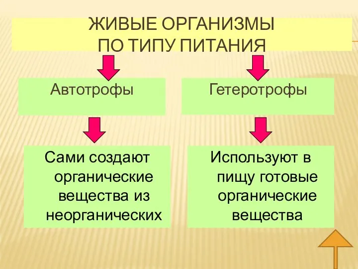 ЖИВЫЕ ОРГАНИЗМЫ ПО ТИПУ ПИТАНИЯ Автотрофы Гетеротрофы Сами создают органические вещества