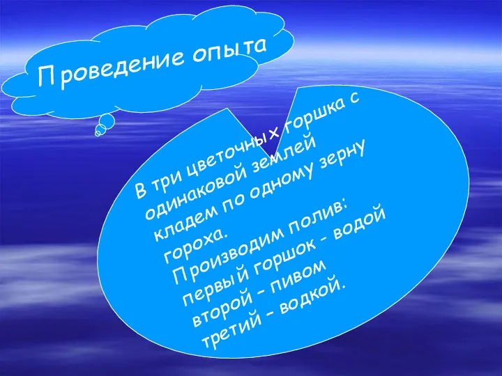 . Проведение опыта В три цветочных горшка с одинаковой землей кладем