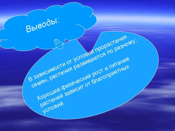 Выводы: В зависимости от условий прорастания семян, растения развиваются по разному;