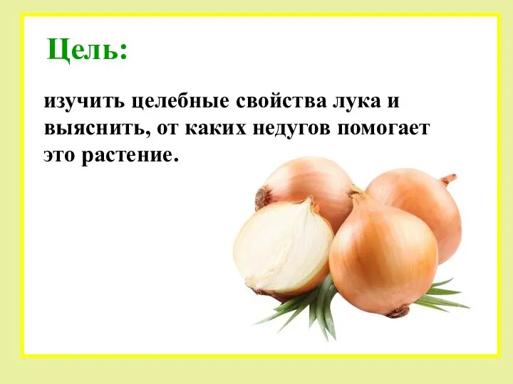 Цель: изучить целебные свойства лука и выяснить, от каких недугов помогает это растение.