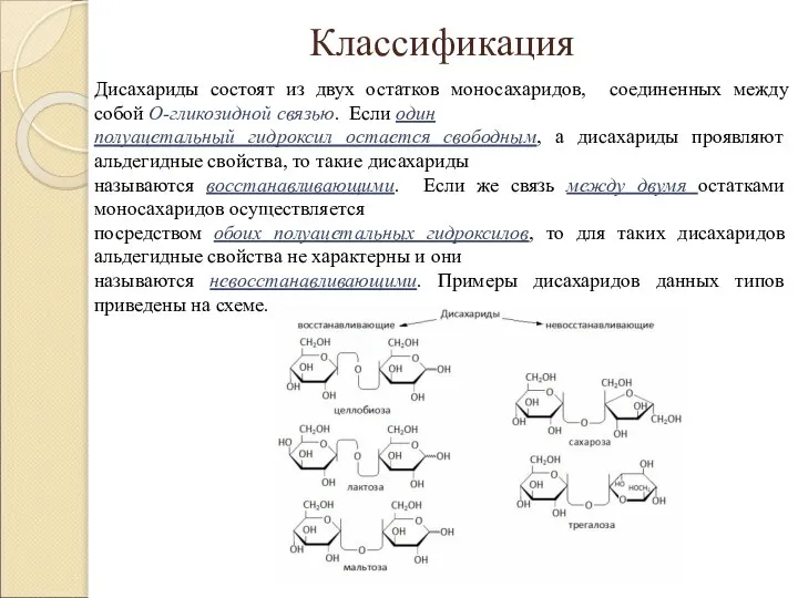 Классификация Дисахариды состоят из двух остатков моносахаридов, соединенных между собой О-гликозидной