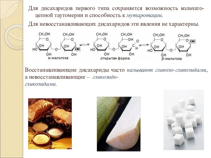 Для дисахаридов первого типа сохраняется возможность кольчато-цепной таутомерии и способность к