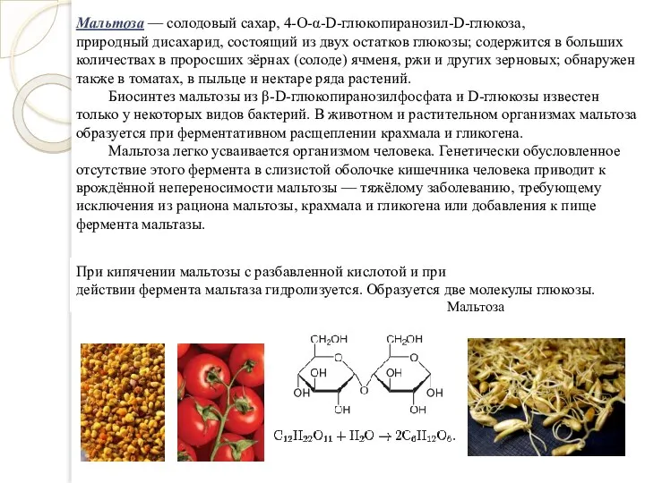 Мальтоза — солодовый сахар, 4-О-α-D-глюкопиранозил-D-глюкоза, природный дисахарид, состоящий из двух остатков