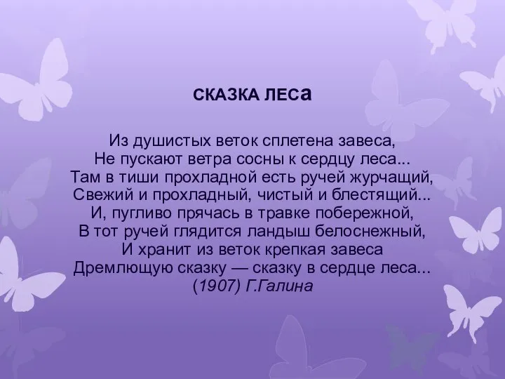 СКАЗКА ЛЕСа Из душистых веток сплетена завеса, Не пускают ветра сосны