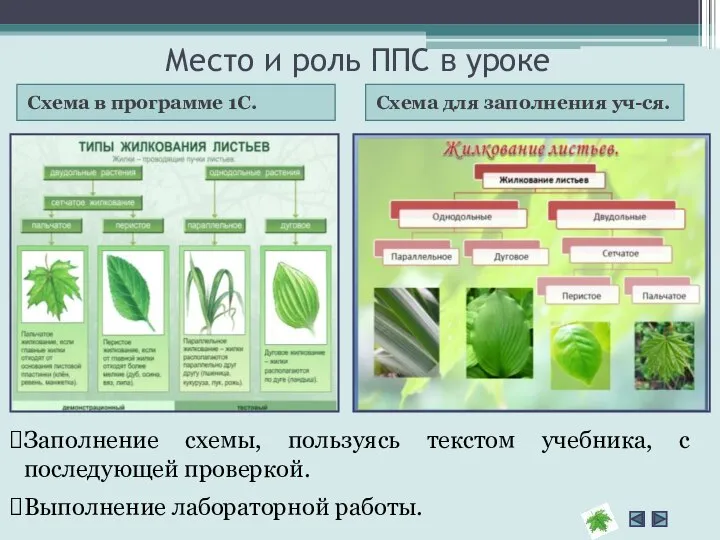 Место и роль ППС в уроке Схема в программе 1С. Схема