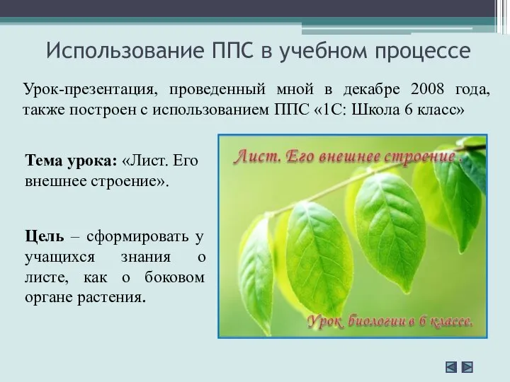 Использование ППС в учебном процессе Урок-презентация, проведенный мной в декабре 2008