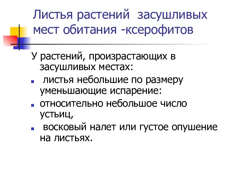 Листья растений засушливых мест обитания -ксерофитов У растений, произрастающих в засушливых