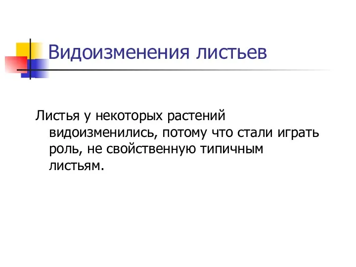 Видоизменения листьев Листья у некоторых растений видоизменились, потому что стали играть роль, не свойственную типичным листьям.