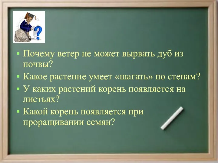 Почему ветер не может вырвать дуб из почвы? Какое растение умеет