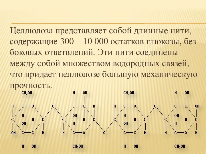 Целлюлоза представляет собой длинные нити, содержащие 300—10 000 остатков глюкозы, без