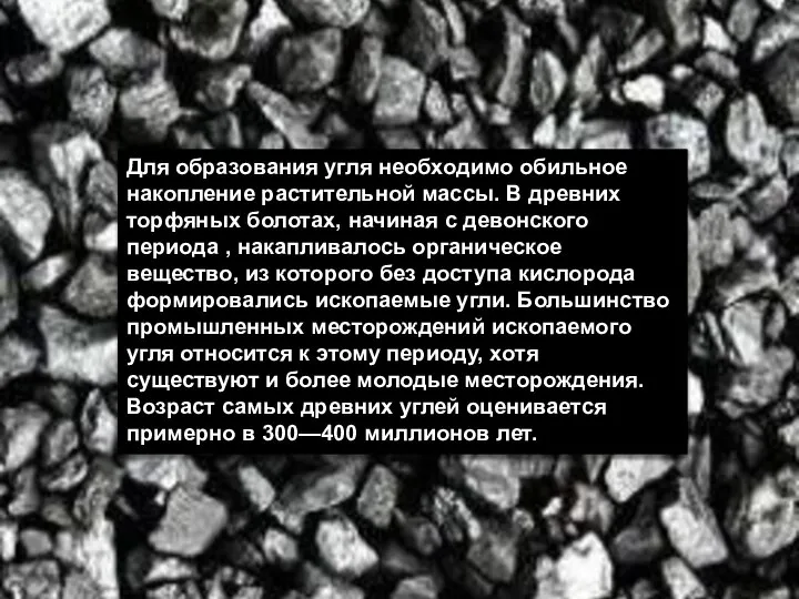 Для образования угля необходимо обильное накопление растительной массы. В древних торфяных