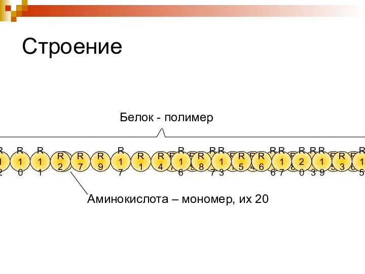 Строение R2 R7 R9 R17 R1 R4 R16 R8 R13 R5