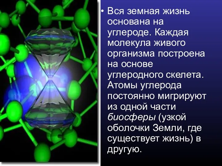 Вся земная жизнь основана на углероде. Каждая молекула живого организма построена