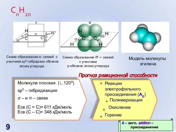 СnH2n Схема образования σ- связей с участием sp2-гибридных облаков атома углерода