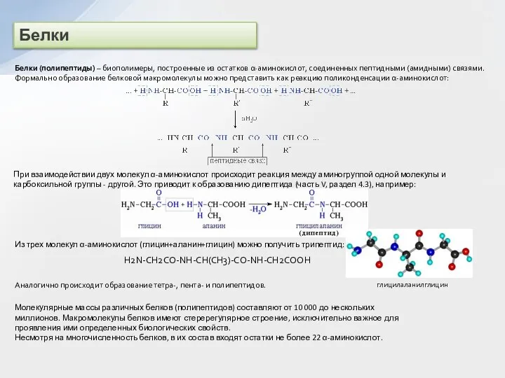 Белки Белки (полипептиды) – биополимеры, построенные из остатков α-аминокислот, соединенных пептидными