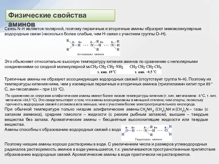 Физические свойства аминов Связь N–H является полярной, поэтому первичные и вторичные