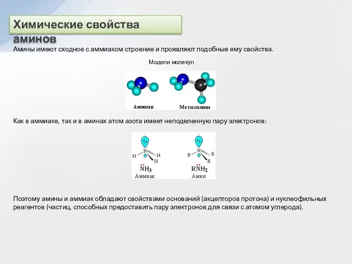 Химические свойства аминов Амины имеют сходное с аммиаком строение и проявляют