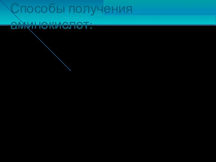 Способы получения аминокислот: Гидролиз белковых веществ. Замещение галогена на аминогруппу в