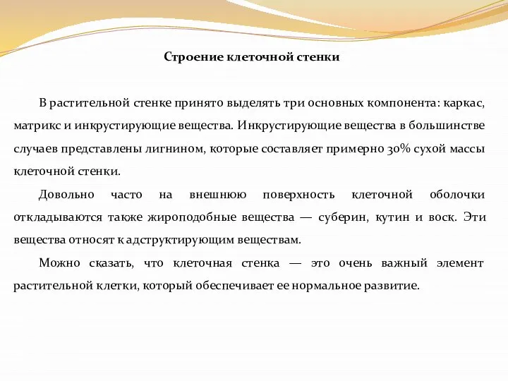 Строение клеточной стенки В растительной стенке принято выделять три основных компонента: