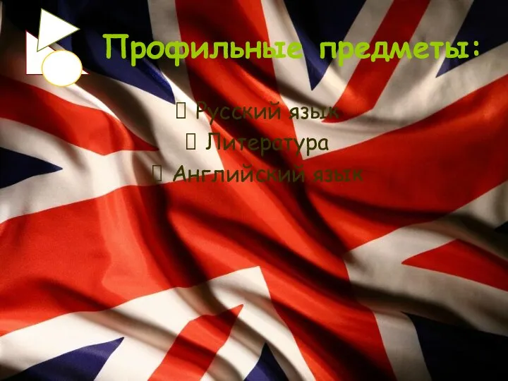 Профильные предметы: Русский язык Литература Английский язык