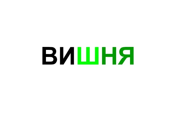 ВИШНЯ