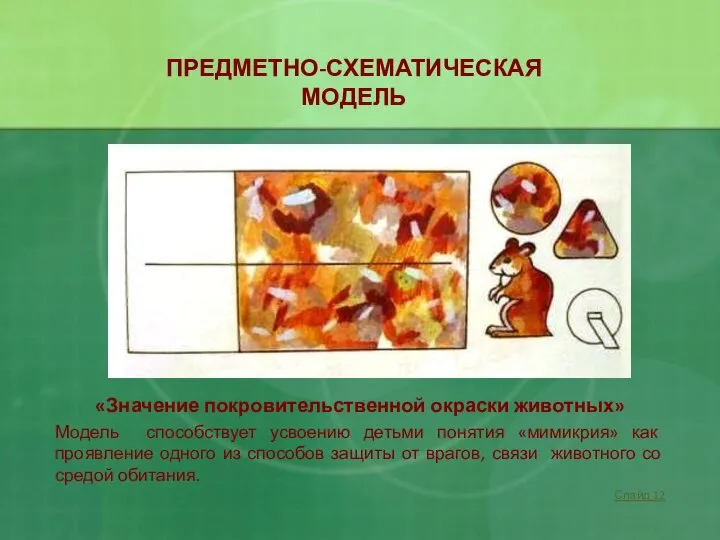 «Значение покровительственной окраски животных» Модель способствует усвоению детьми понятия «мимикрия» как