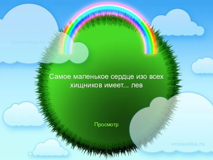 Самое маленькое сердце изо всех хищников имеет... лев