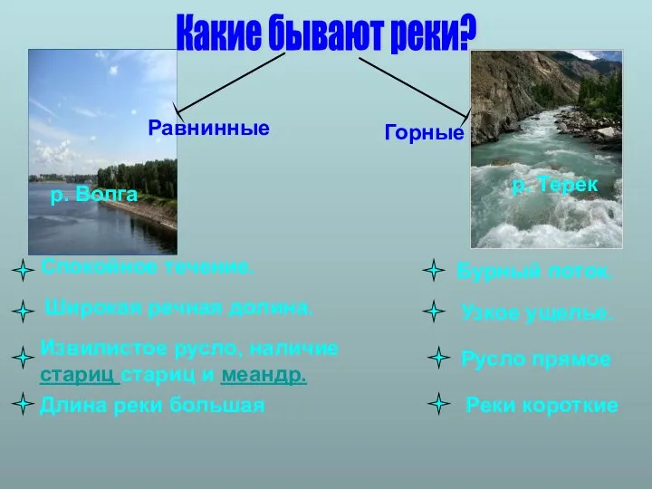 Какие бывают реки? Равнинные Горные р. Волга р. Терек Спокойное течение.