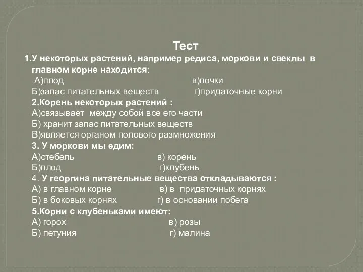 Тест У некоторых растений, например редиса, моркови и свеклы в главном